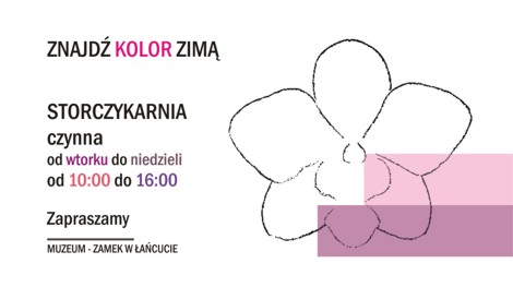 Zapraszamy do Storczykarnii